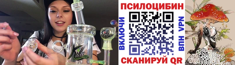 Псилоцибиновые грибы мицелий  продажа наркотиков  Дигора 