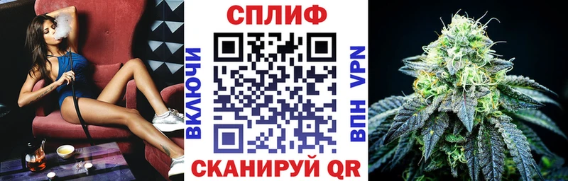 сколько стоит Дигора Конопля SATIVA & INDICA